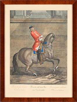 JOHANN ELIAS RIDINGER, efter, gravyrer, 9 st, omkr 1900.