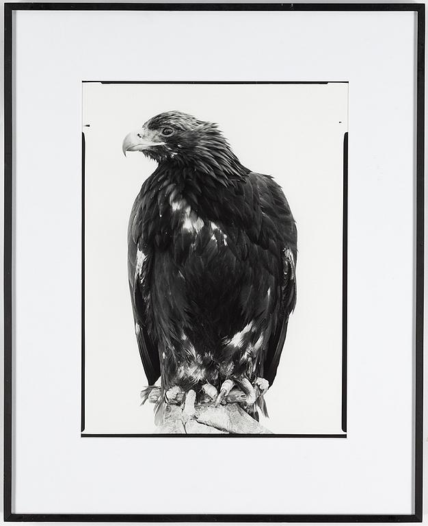 SIMON LARSSON, gelatin silver print, signed, numbered ED 2/6 and dated 2013 on verso.