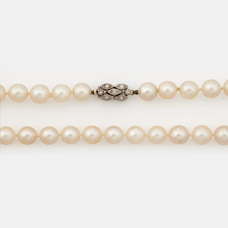 A cultured pearl necklace.