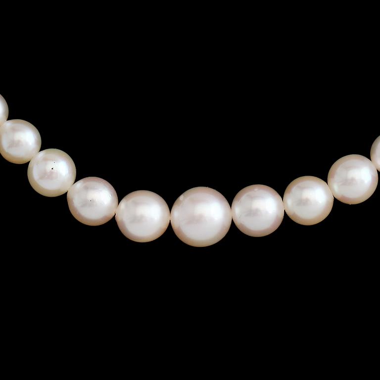 PÄRLCOLLIER, odlade pärlor.