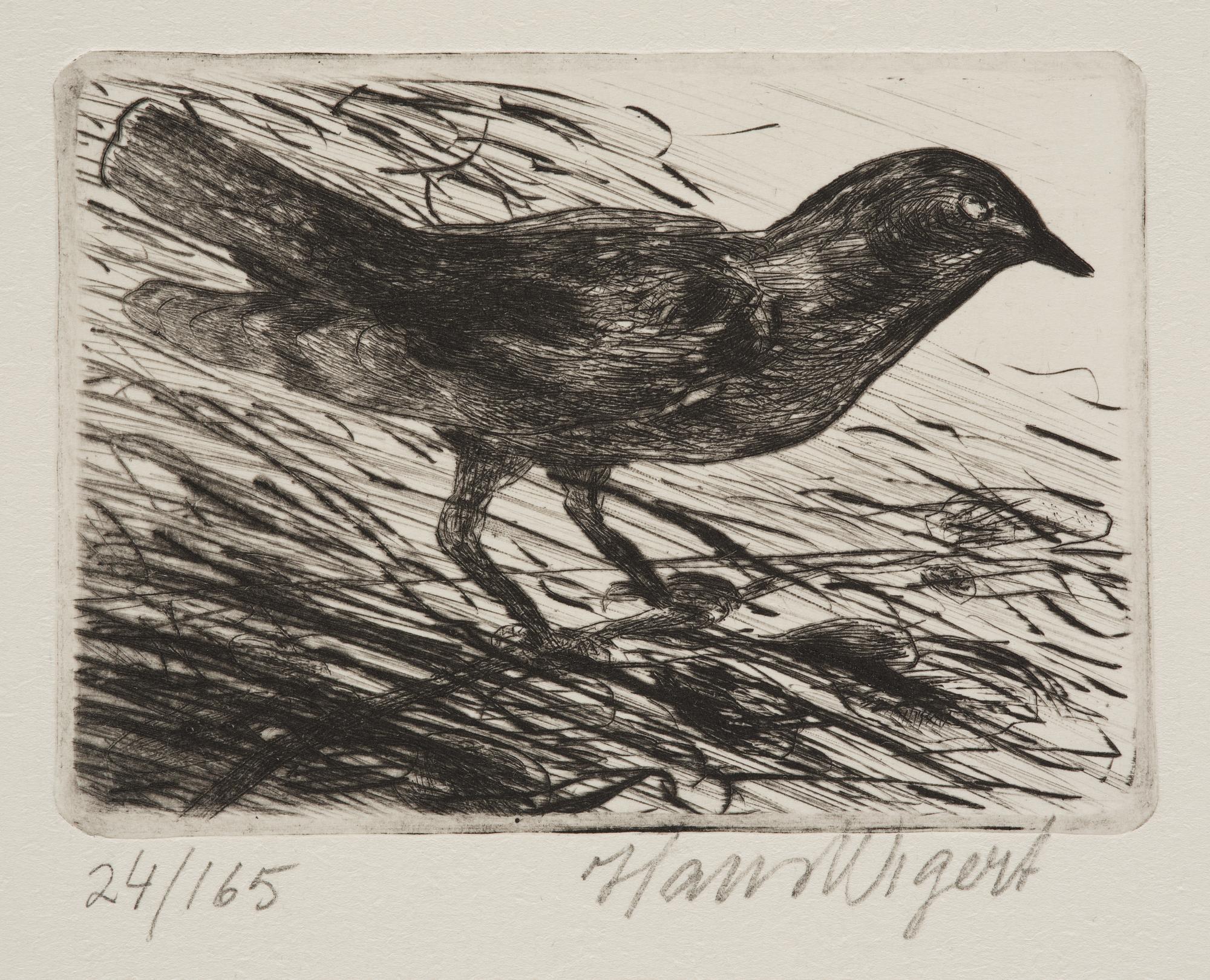 Hans Wigert, Bird.