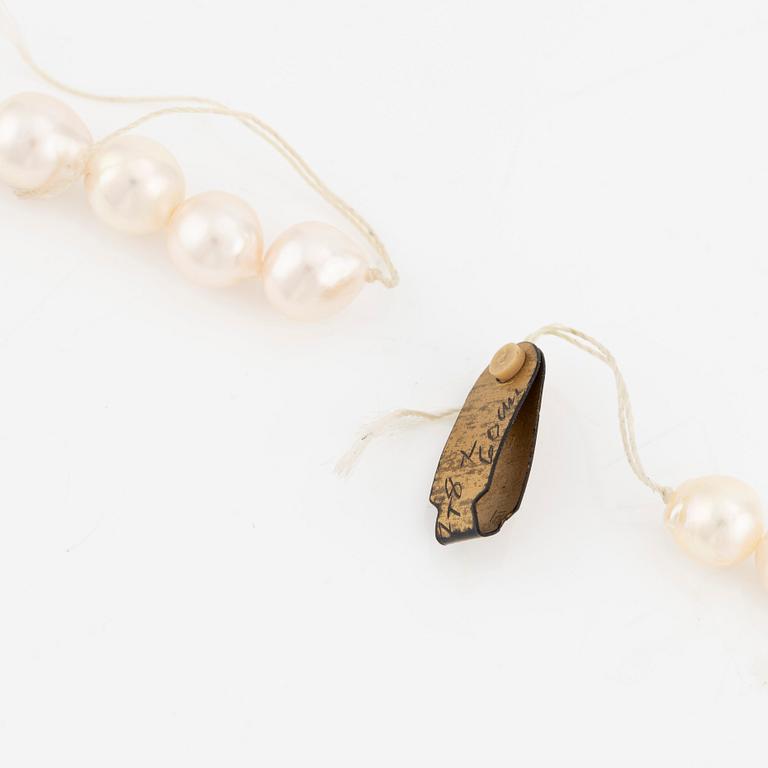 A necklace of cultured pearls without a clasp.