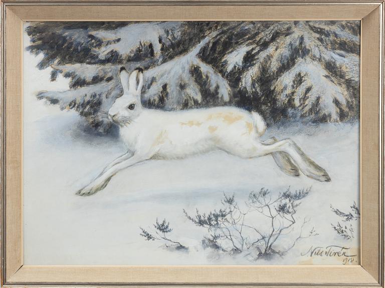 Nils Tirén, Forest hare in winter forest.
