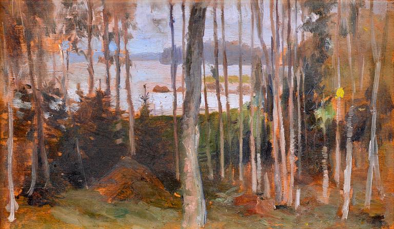 Albert Edelfelt, BJÖRKDUNGE, HAIKO.