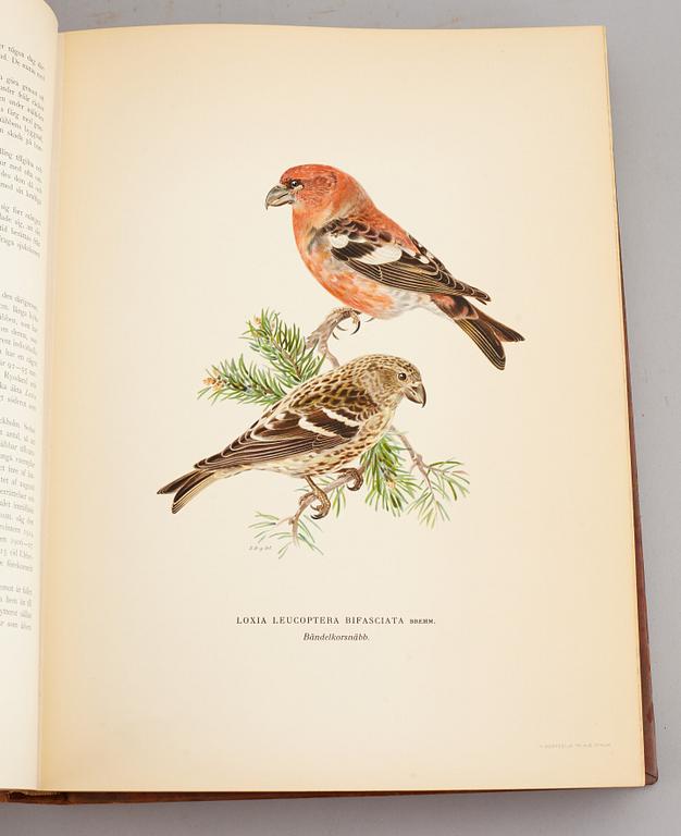 A set of three books about Swedish birds by von Wright. 1927.