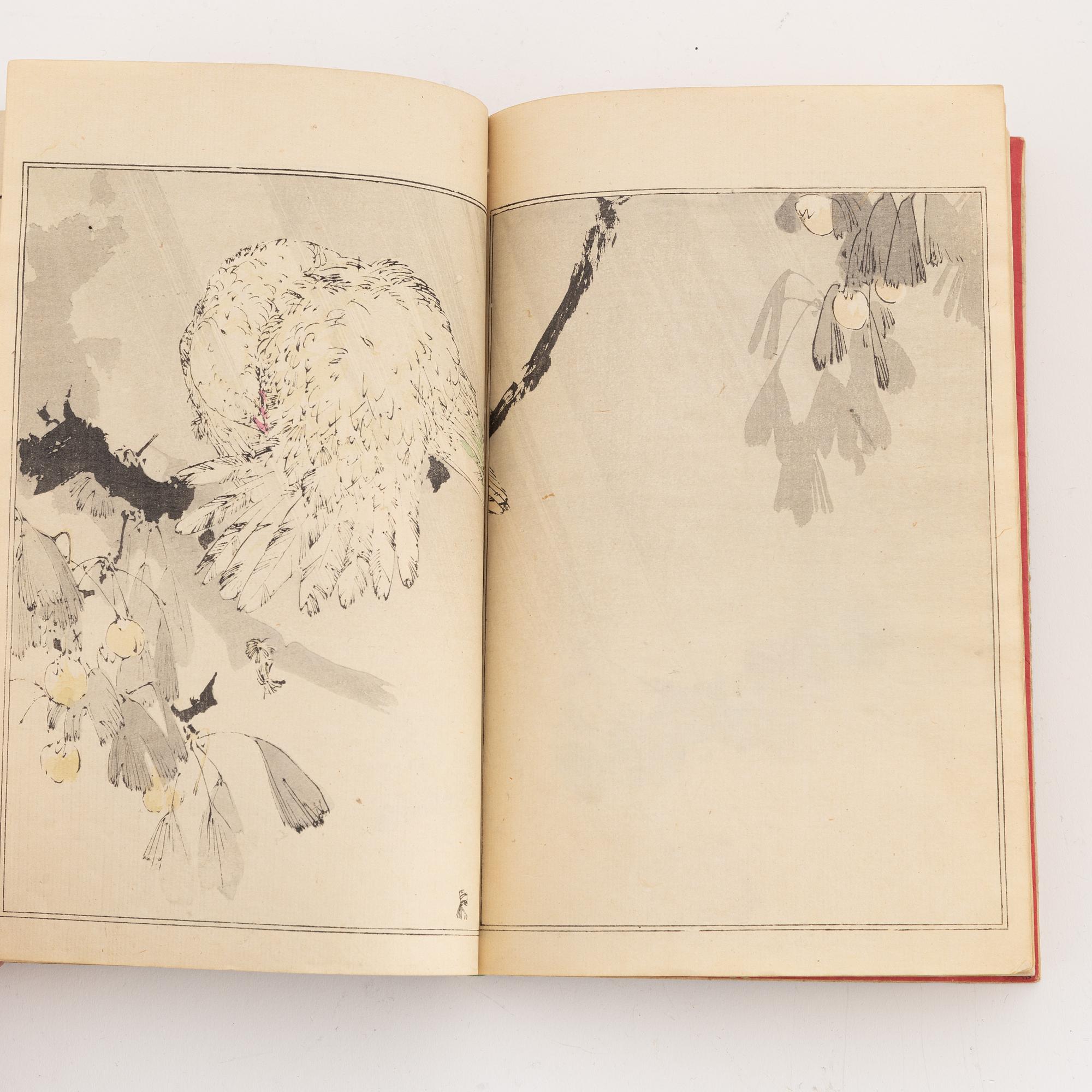 Shotei Watanabe,