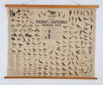 SKOLPLANSCH, tryckt 1915.