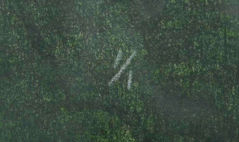 Outi Kirves, "Painaumat".