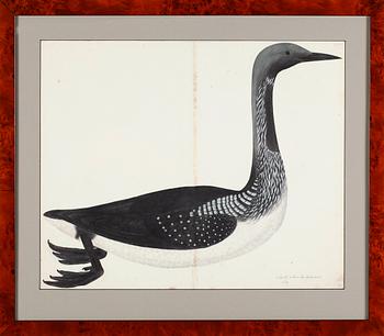 RUDBECK, OLOF D.Y, 3 st, Faksimil av fågelplanscher, 1900-talets andra hälft.