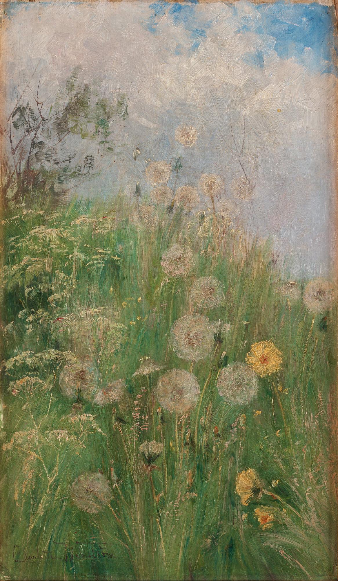 Charlotte Wahlström, Maskrosor.