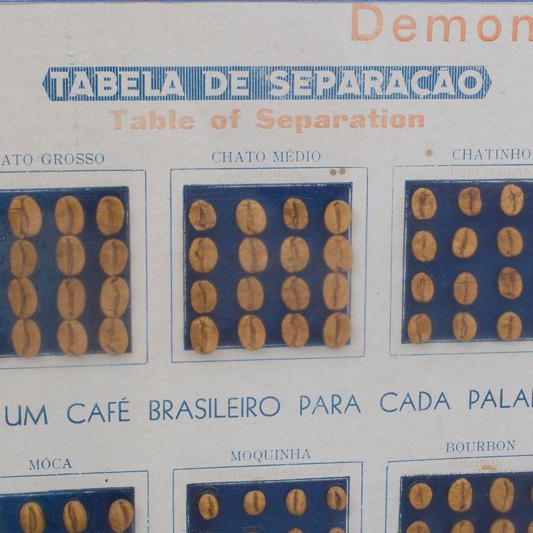"Demonstrative Table of Coffee Classification".
