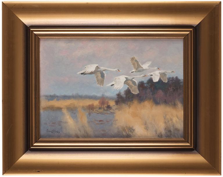 Bruno Liljefors, Swans in flight.