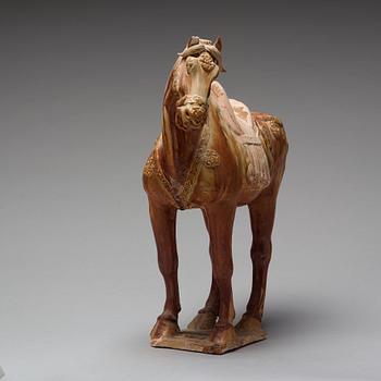 A pottery figure of a horse, Tang dynasty (618-907).