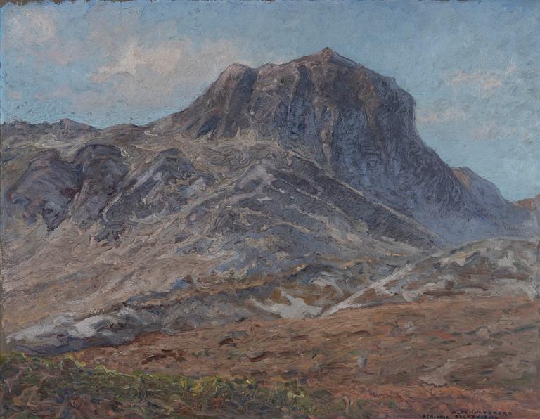 Anshelm Schultzberg, "Bitihorn Skammestein".