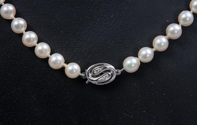 PÄRLCOLLIER, lås i vitguld med briljanter.