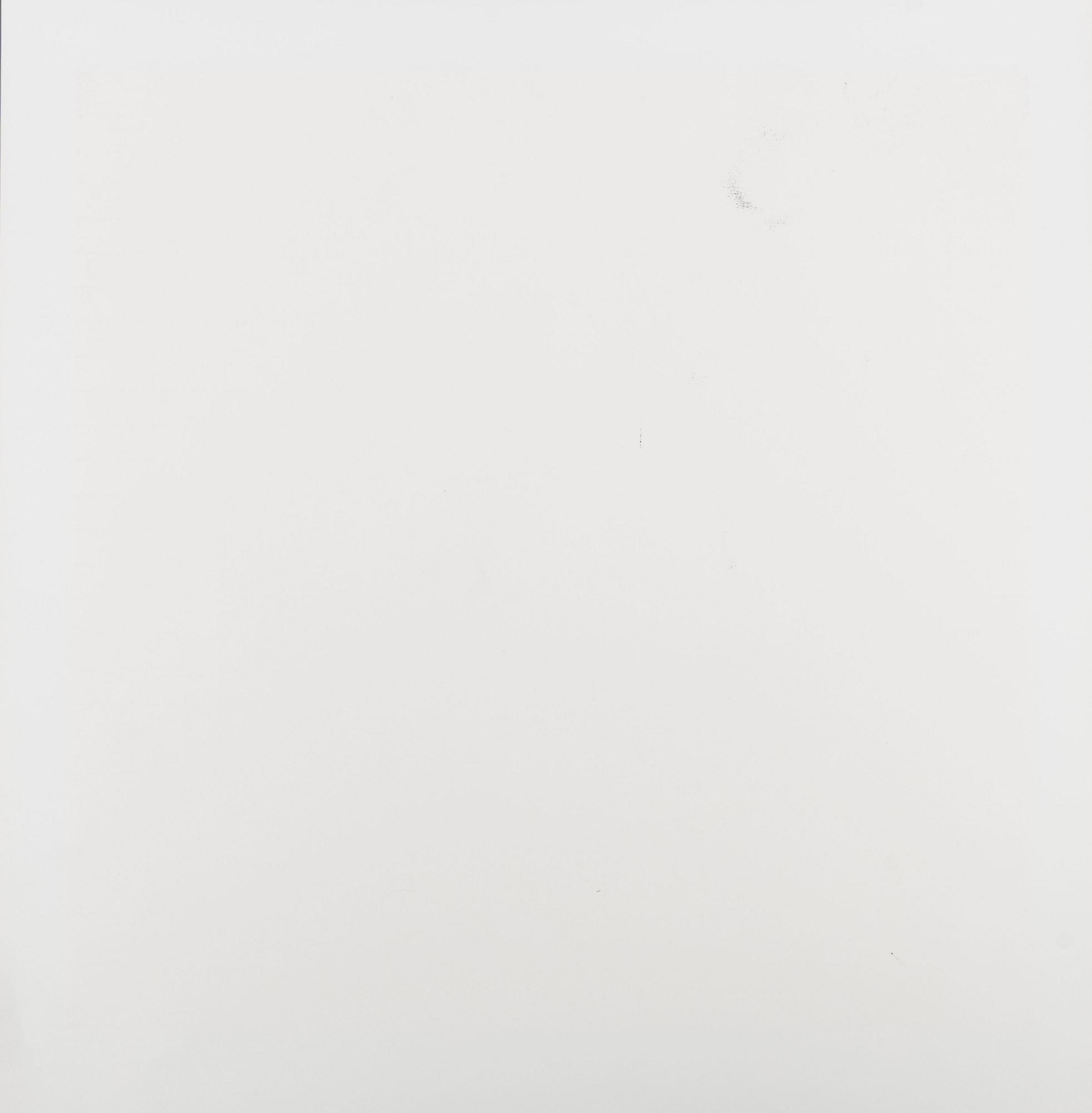 Victor Vasarely, "Lousiana 2".