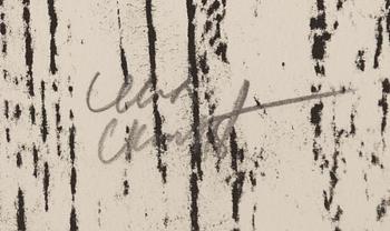Lena Cronqvist, Untitled, from the portfolio: “August Strindberg, Ett Drömspel”.