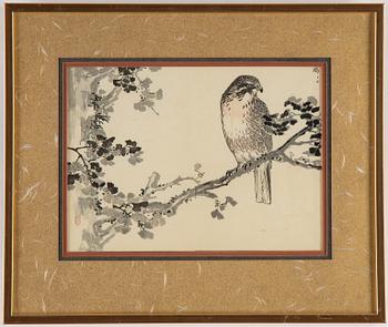 Kono Bairei, threeJapanese coloued woodblock prints, second half of the 19th century.