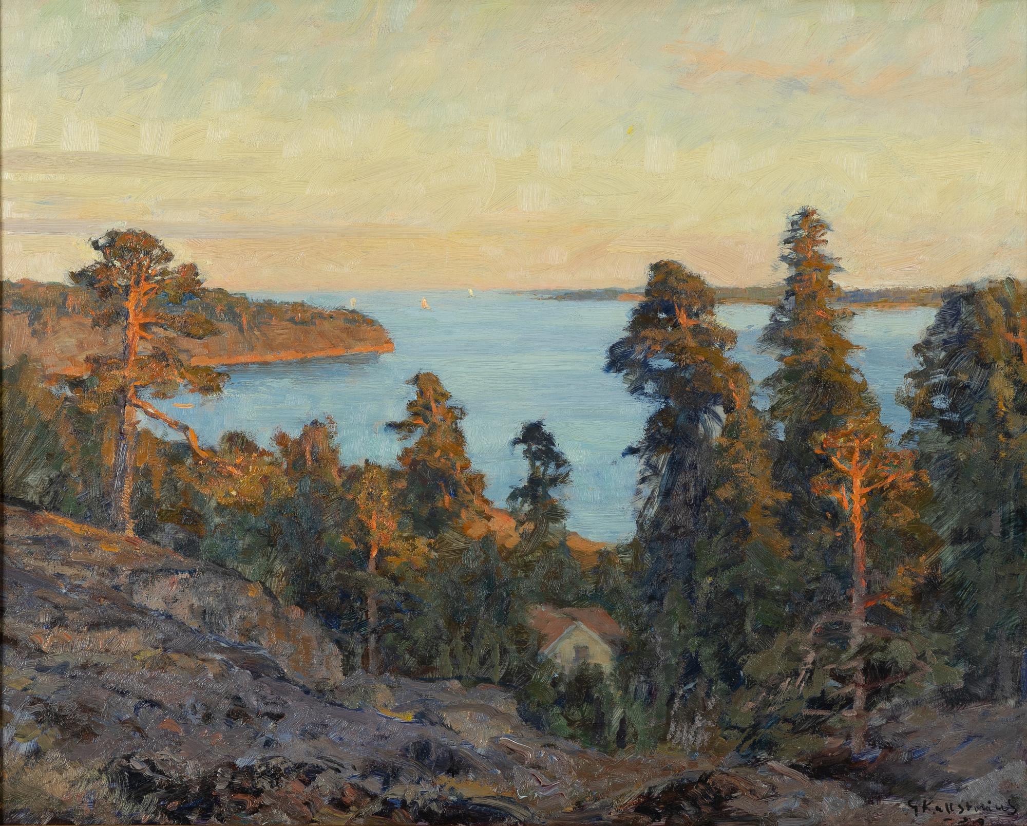 Gottfrid Kallstenius, Vidsträcktkt utsikt från Taffelberget mot Lilla Hallmare.