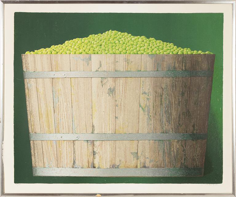 Philip von Schantz, Green Gooseberries in a Jug.