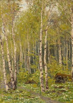 Charlotte Wahlström, Spring landscape with birches and wood anemones.