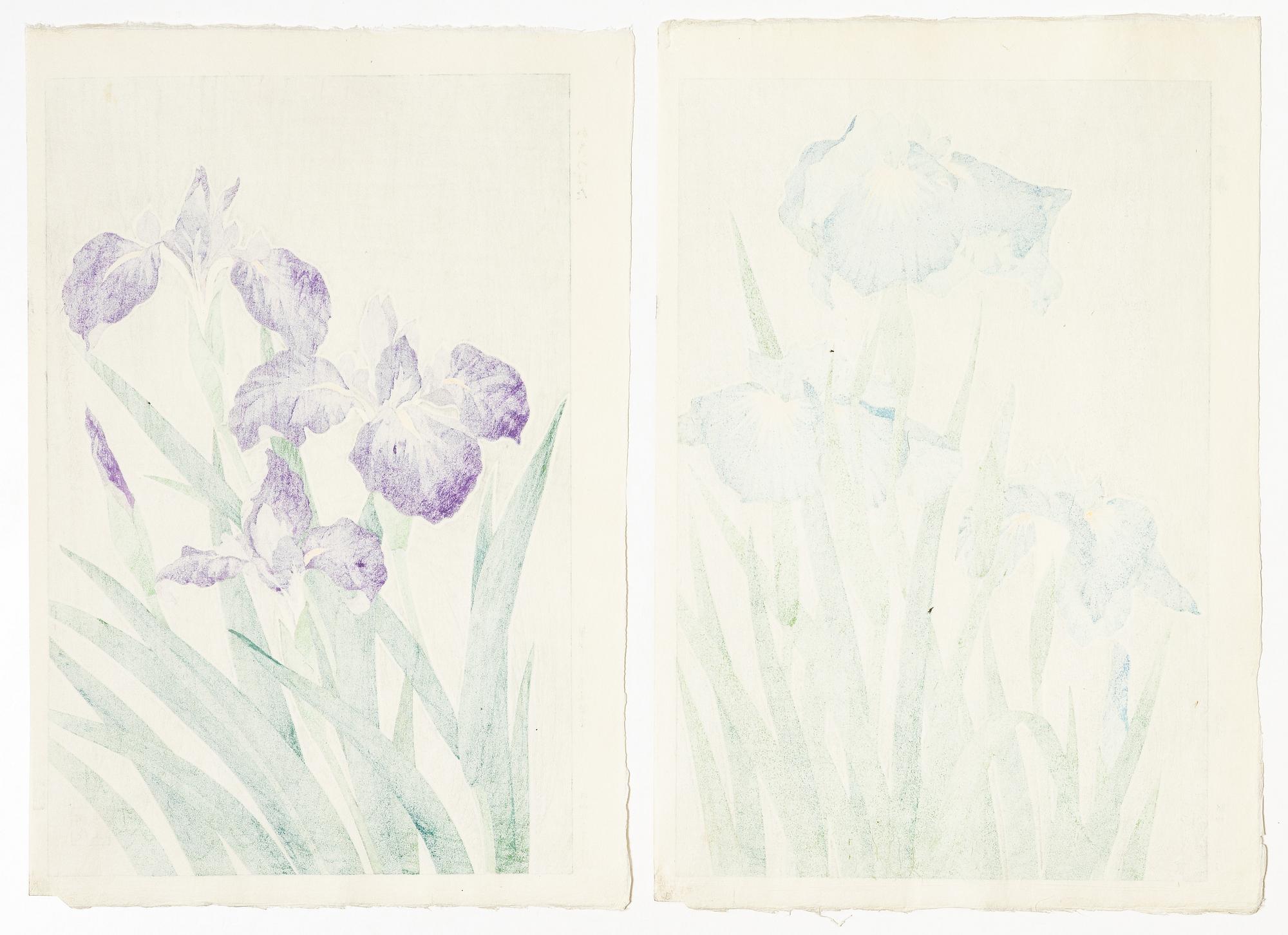 Kawarazaki Shodo, efter, Två träsnitt, "Irisar", 1900-talets andra del.