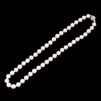 COLLIER, odlade pärlor, lås 18 k vitguld med små briljanter.