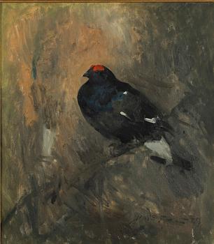 Mosse Stoopendaal, The translation of "Orre" to English is "Grouse.".