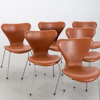 ARNE JACOBSEN, 6 "Sjuan", chairs, Fritz Hansen, Denmark.
