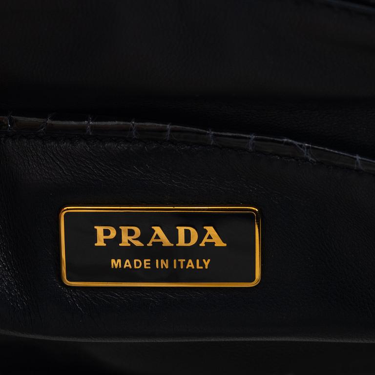 Prada, a crocodile bag, 2009.