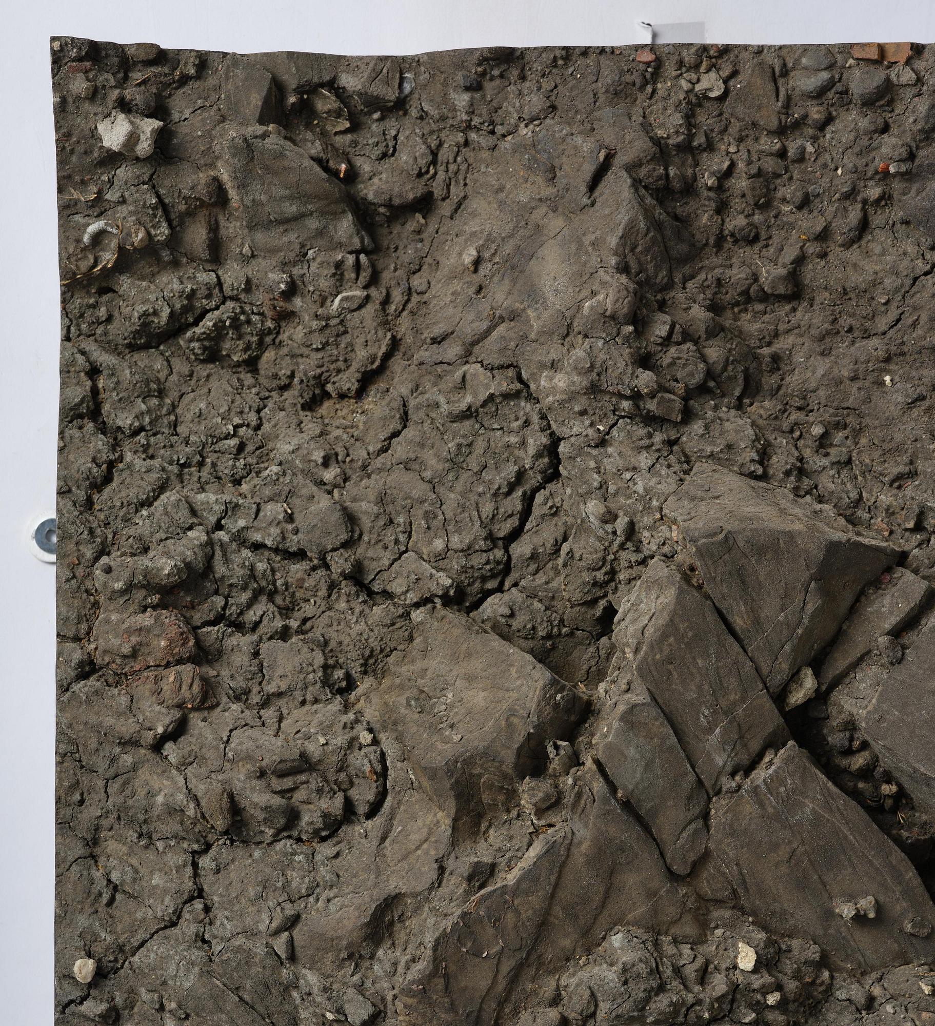 Boyle Family, "Small Landslip Study (1)".
