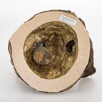 Jorma Lehtonen, Vesilintuja.