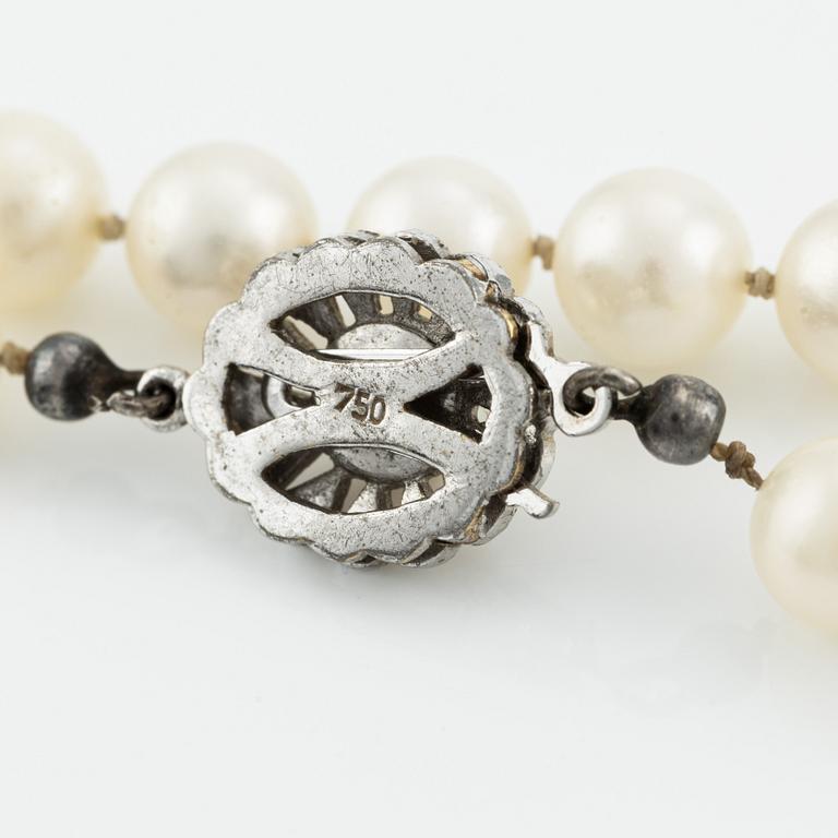 Pearl necklace, cultured pearls, white gold clasp with pearl.
