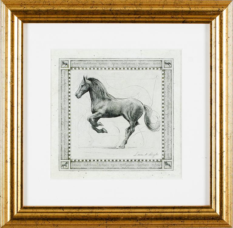 TAVLOR, 13 st, tryck, 1900-talets andra hälft.