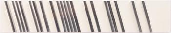 Lars Erik Falk, "Modul relief C6".
