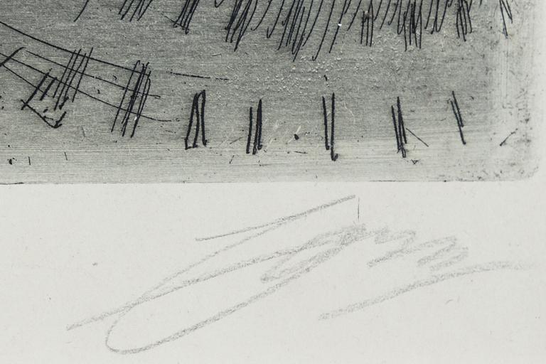 Anders Zorn, etching, 1897, signed in pencil.