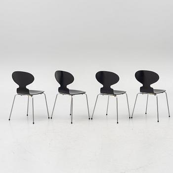Arne Jacobsen, stolar, 4 st, "Myran", Fritz Hansen, Danmark, 1900-talets andra hälft.
