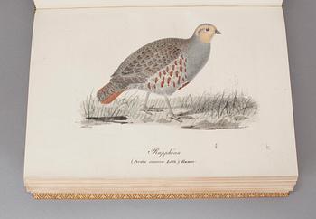 ILLUMINERADE FIGURER TILL SKANDINAVIENS FAUNA MED TEXT UTGIFNE.1-2. S.NILSSON. (Stockholm)& Lund 1832-1840. (2).