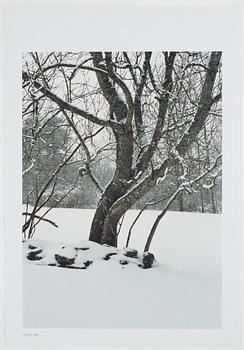 ANDREAS ERIKSSON, portfolio. Signed AE inside the box and numbered 18/250.