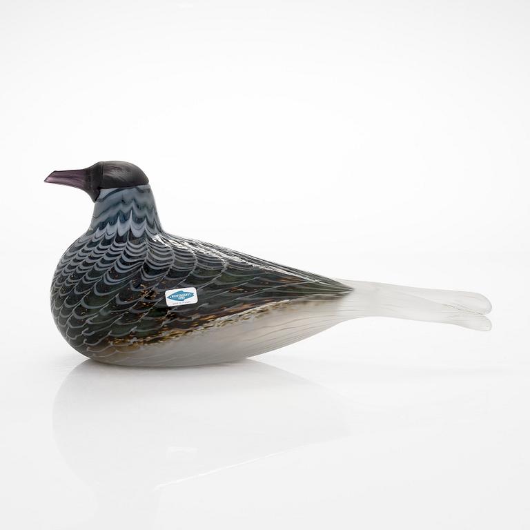 Oiva Toikka, a 'Labbe' glass bird, signed Oiva Toikka Nuutajärvi Notsjö 1514/3000.