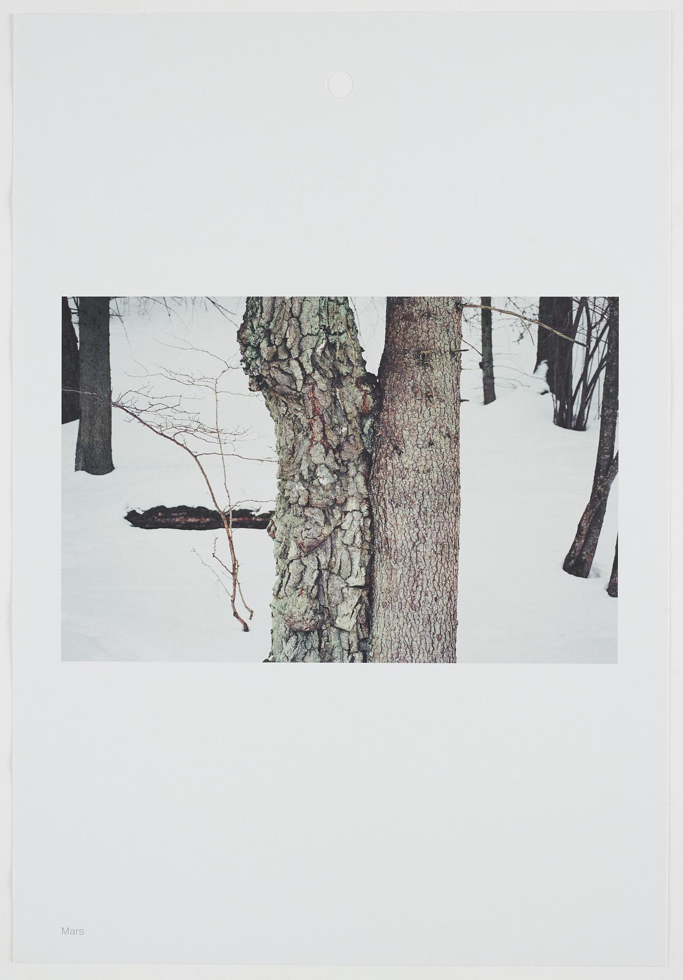 ANDREAS ERIKSSON, portfolio. Signed AE inside the box and numbered 18/250.