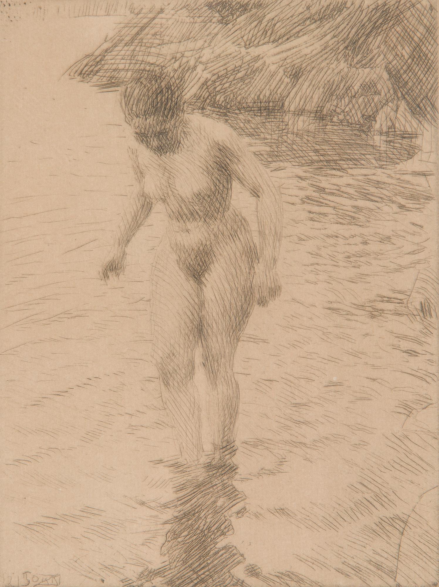 Anders Zorn, "Dalarö".
