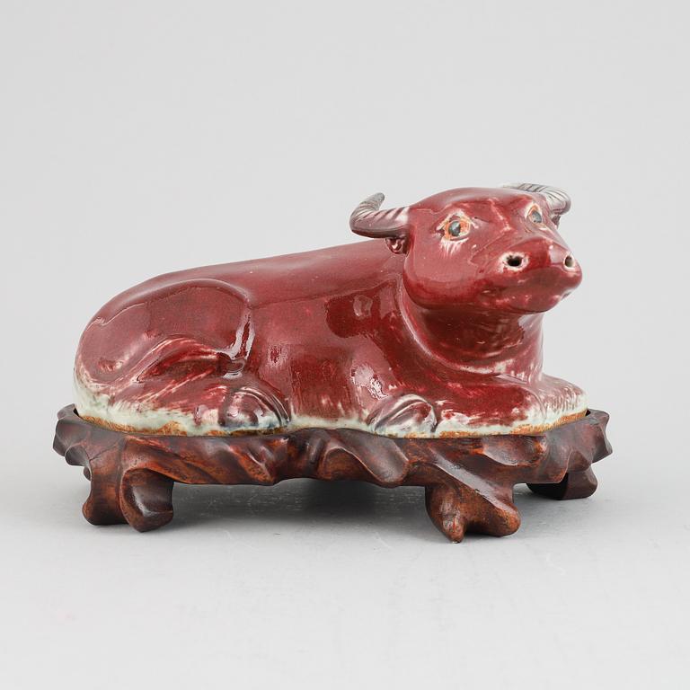 A sang-de-boeuf glazed Chinese porcelain figure of a water buffalo, around the year 1900.