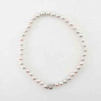 Necklace, 18K white gold and brilliant-cut diamonds and saltwater pearls.