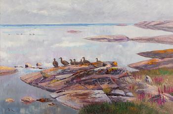 Johannes Ravn, Eiders on a Rock.