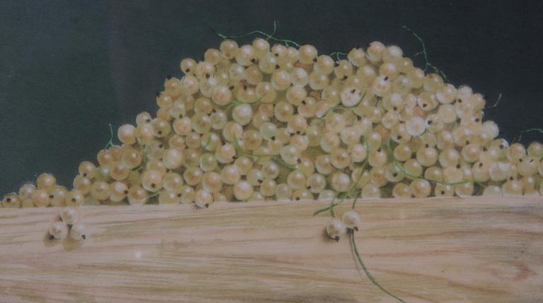 VON SCHANTZ, PHILIP. Färglitografi, sign o numr 152/170.