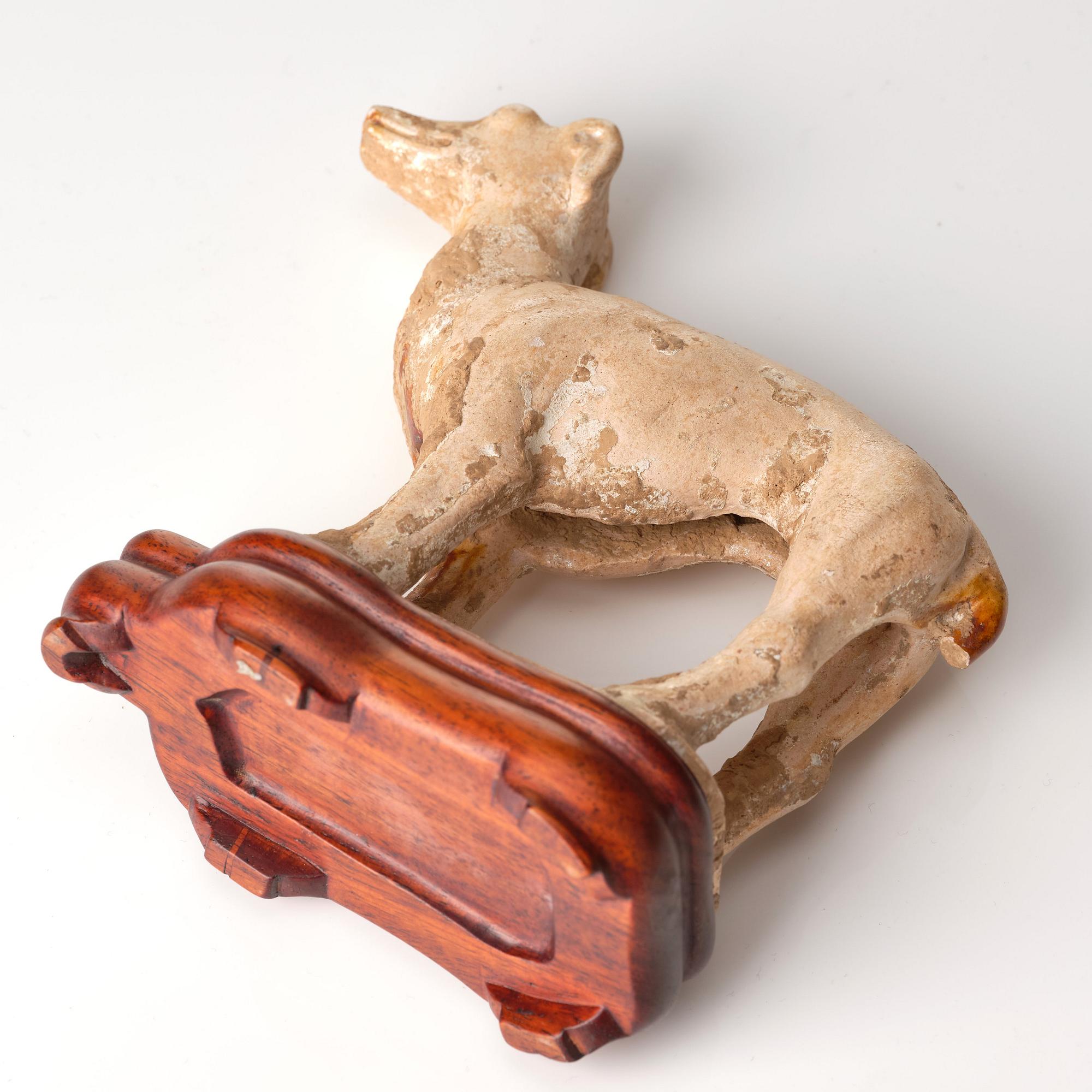 A pottery figure of a dog, Tang dynasty (618-907).