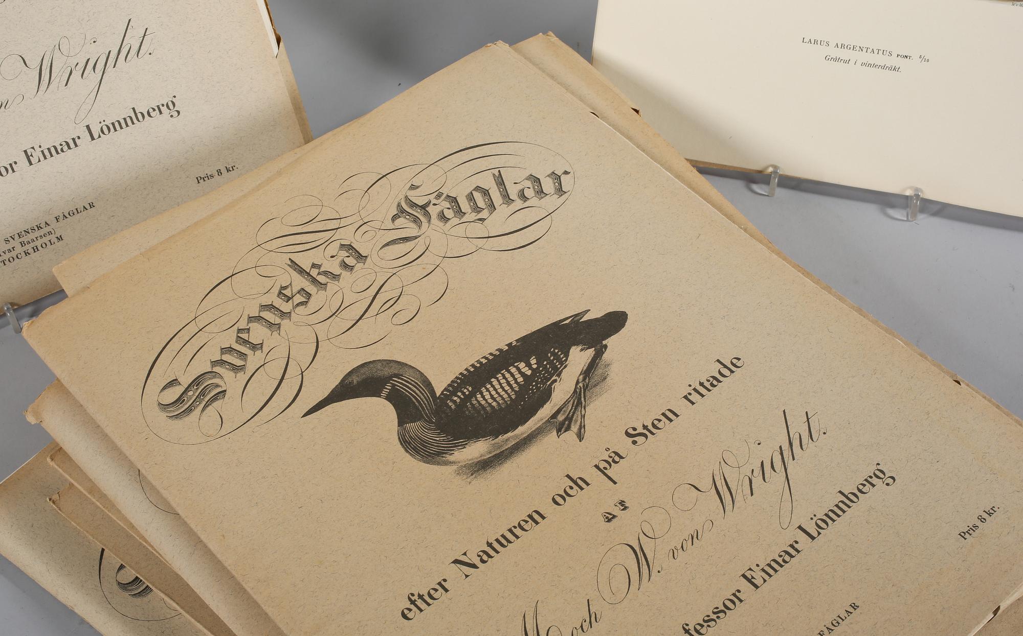 MAGNUS & WILHELM VON WRIGHT, 119 st, litografiska tryck ur "Svenska fåglar", 1900-talets första hälft.