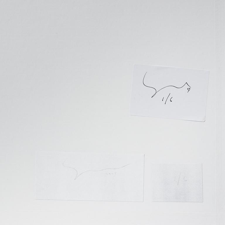 Johan Strindberg, "The Life of Theodore", 2015.