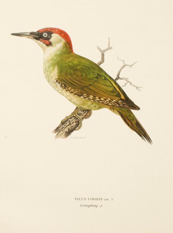 BÖCKER, 2 vol, "Svenska Fåglar", M W & F von Wright, Stockholm.